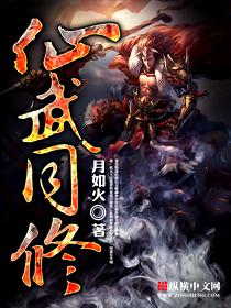 仙武同修的境界