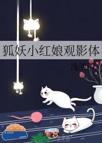 狐妖小红娘免费看