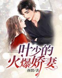 全文免费叶少撩妻上瘾