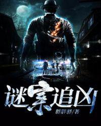 谜案追凶剧情分集介绍全