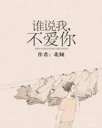 谁说我不爱你北倾实体书番外