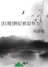 侧妃不承欢百度百科