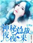 免费神秘总裁夜夜来