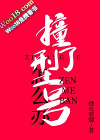 撞型号了怎么办txt