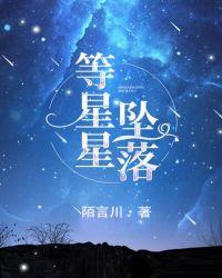 等星星坠落TXT百度