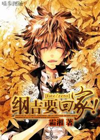 纲吉要回家fatezero