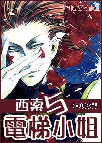 西索与电梯小姐