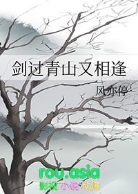 剑过青山又相逢TXT全本