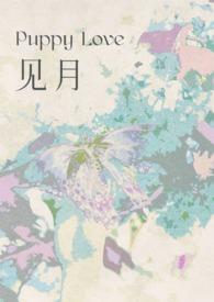 见月草油胶囊有什么功效