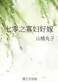 七零之寡妇好嫁txt百度