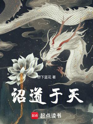 诏道于天阅读