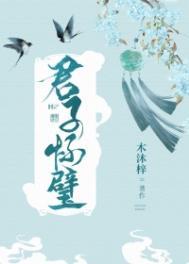 君子怀璧讲了什么