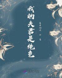 我的夫君是宠妃免费阅读