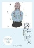 盛年不再来txt