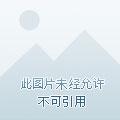 全民领主我的领民有亿点多