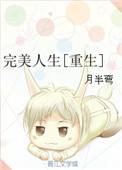 完美人生 无弹窗