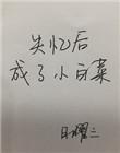 失忆后成了小白菜日曜三