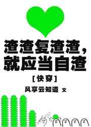 渣渣复渣渣 就应当自渣 无防盗