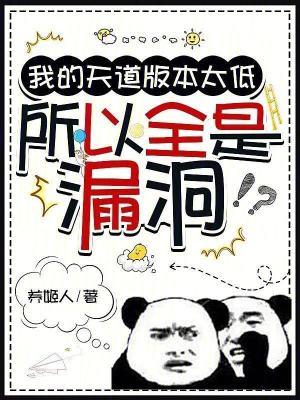 所以全是漏洞在线阅读免费
