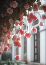 无限系列