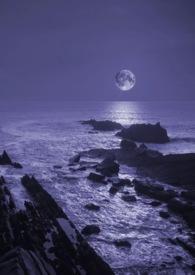 暗夜行者