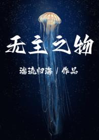 无主之物nph