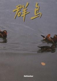 群鸟飞舞的世界末日