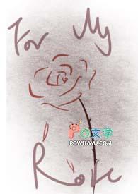 献给我的玫瑰长佩