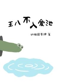 王八不入龟壳是什么意思