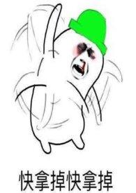 满朝文武皆绿你全文免费