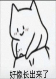 那个被我玩弄的男孩作文