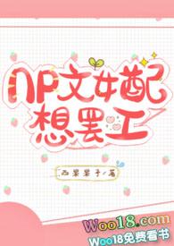 np文女配想离婚无防盗