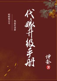代嫁升级手册讲的什么