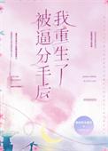 重生分手后我成了歌神