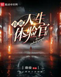 首席体验官待遇