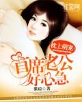首席老公惹不起免费阅读