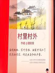 电视剧村里村外