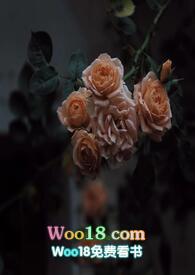 壁垒(骨科)免费阅读