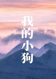 我的小狗作文300字优秀作文
