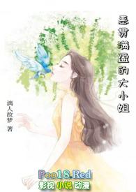 恶贯满盈的大小姐 作者漓人故梦