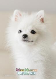 快穿h1v 1