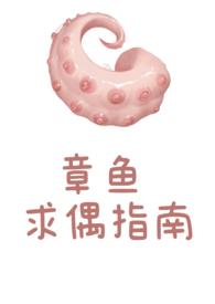 章鱼寻女友攻略