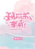玛丽苏角色介绍