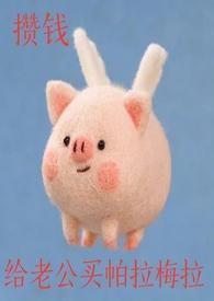 买帕拉梅拉送什么礼物