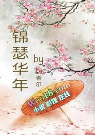 锦瑟华年讲的什么