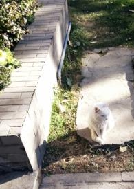 媚欢出轨乔亦然全文免费阅读笔趣阁