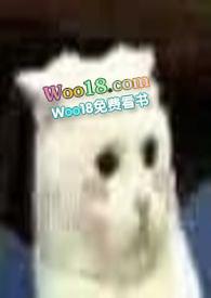 穿成一只猫后txt