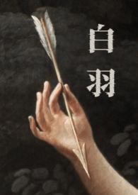 女主白羽