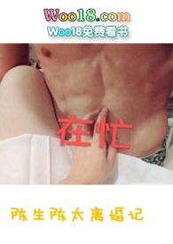 陈生陈太离婚记无防盗