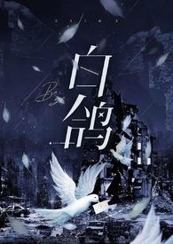 白鸽(强制)(躺平的仙女)